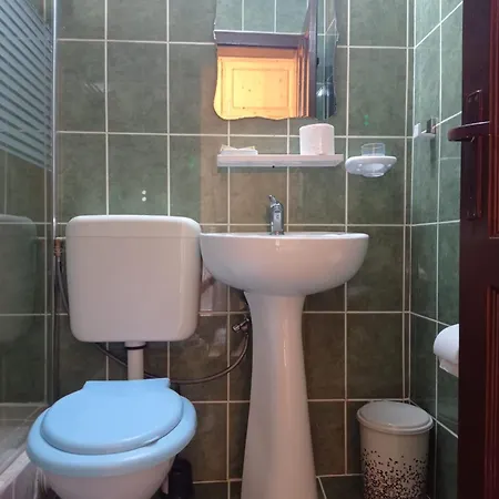 Pensiunea Orion Guest house