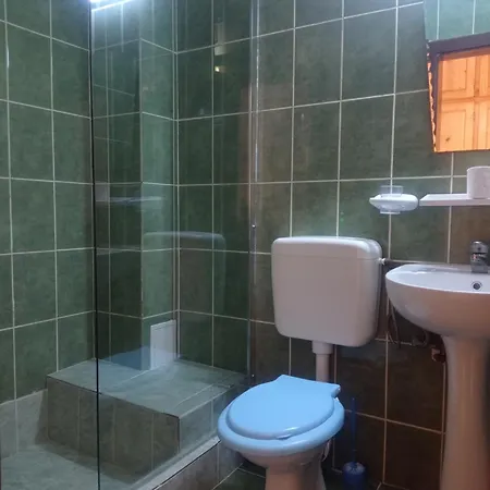 Pensiunea Orion Gasthof 3*