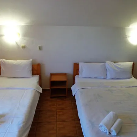 Guest house Pensiunea Orion *