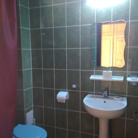 Guest house Pensiunea Orion Costinesti